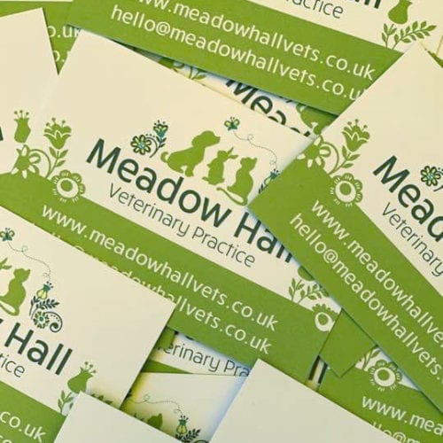 meadow-hall-vet-practice-in-thakeham-business-cards.jpg